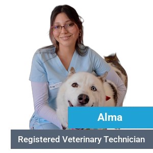 Alma, veterinary team member at Primary Care Animal Hospital in Long Beach