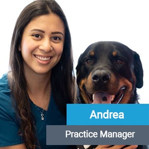 Andrea, veterinary team member at Primary Care Animal Hospital in Long Beach, CA