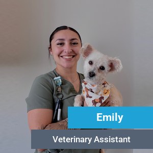 Emily, veterinary team member at Primary Care Animal Hospital in Long Beach, CA
