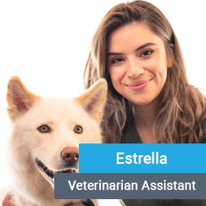 Estrella, veterinary team member at Primary Care Animal Hospital in Long Beach, CA