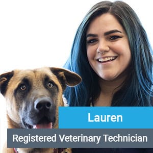 Lauren, veterinary team member at Primary Care Animal Hospital in Long Beach, CA